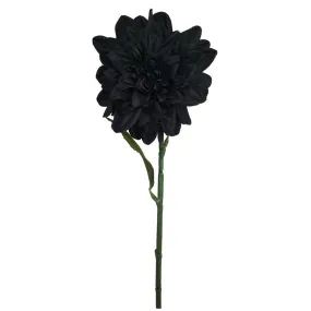 Black Dahlia Stem, 28in