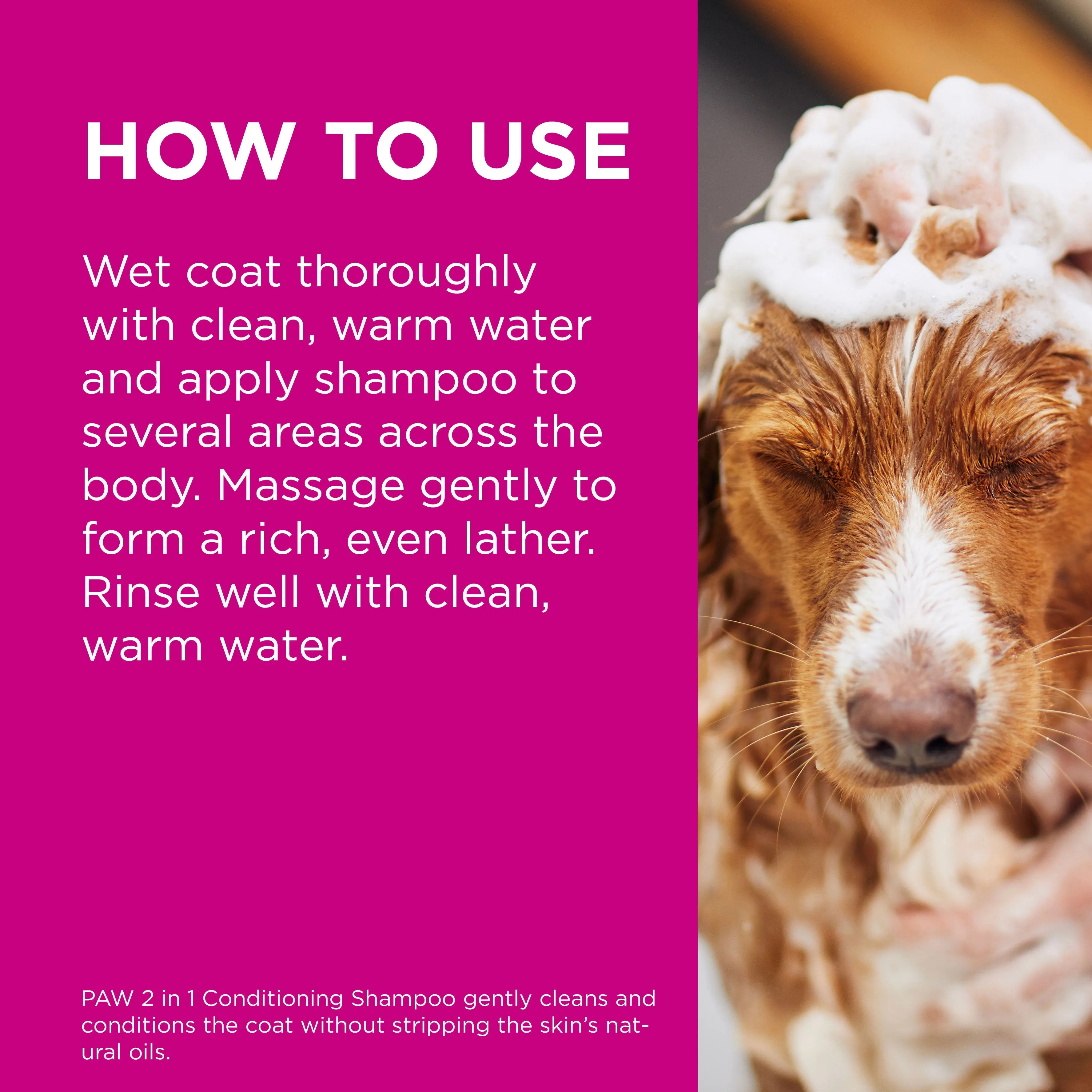 PAW 2 in 1 Conditioning Dog Shampoo 500ml