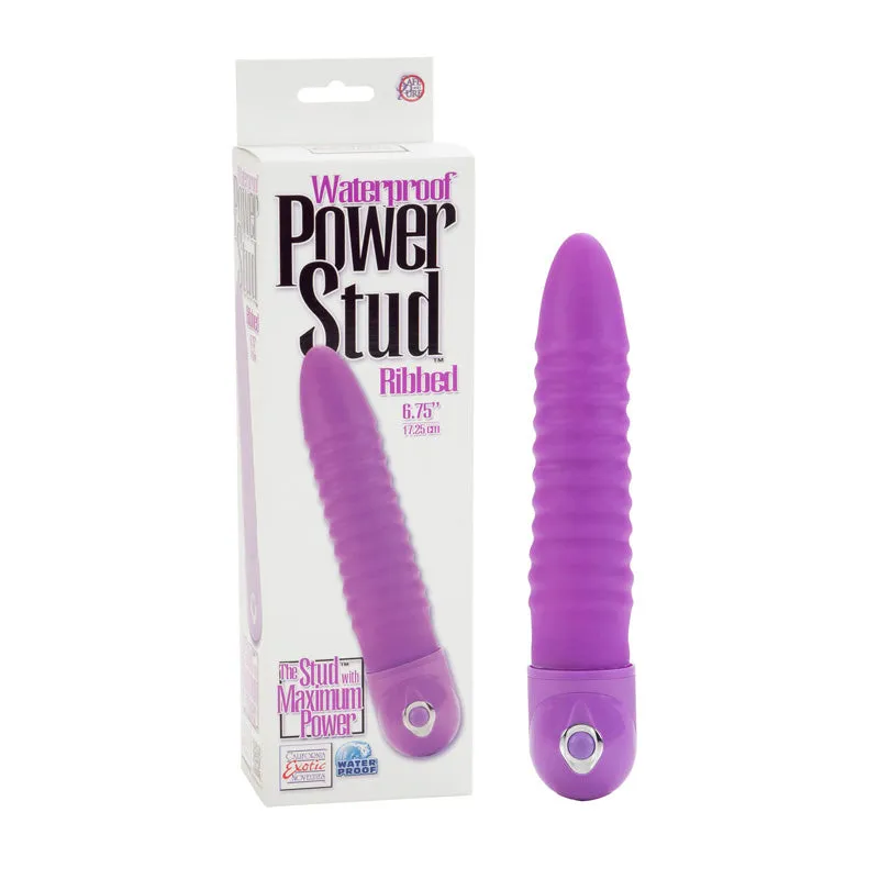 Power Stud Ribbed WP Purple